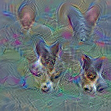 n02113023 Pembroke, Pembroke Welsh corgi